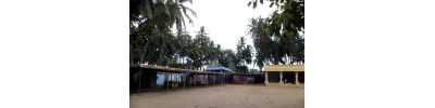 குச்சனூர்